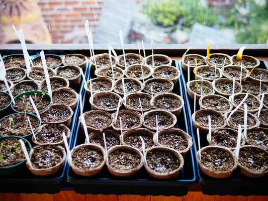 The New Growing Season Is Almost Upon Us! - Keane Gardens