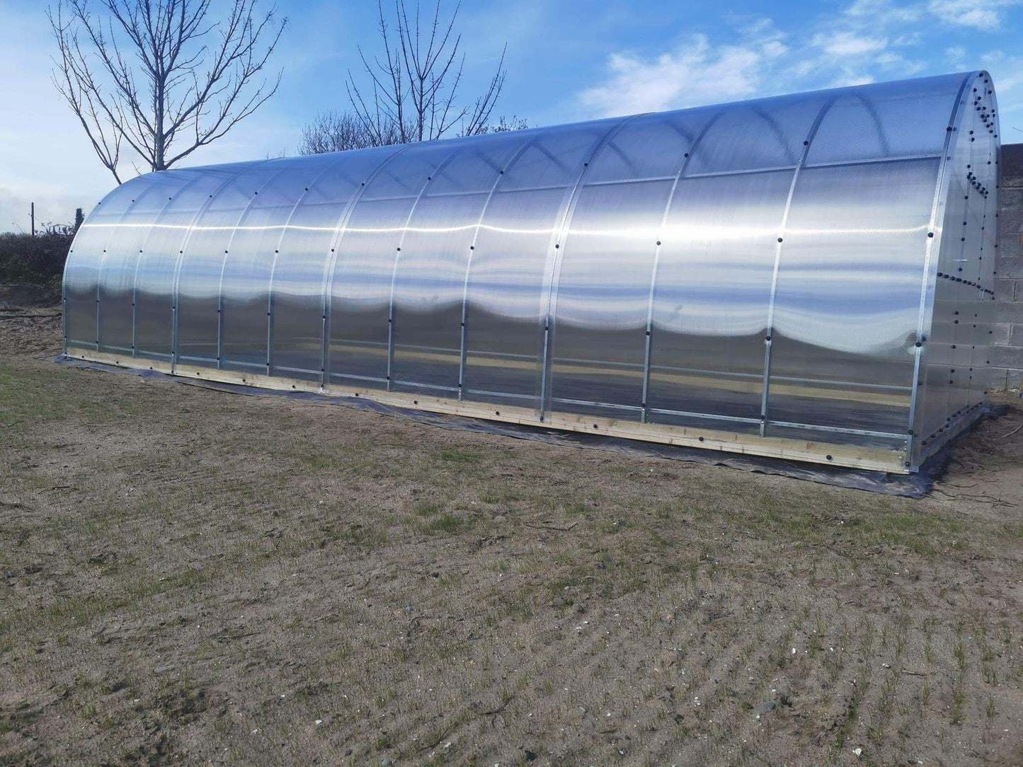 THE CLASSIC - POLYCARBONATE GREENHOUSE 3M X 8M (9.8FT X 26FT) 24 M² - Keane Gardens