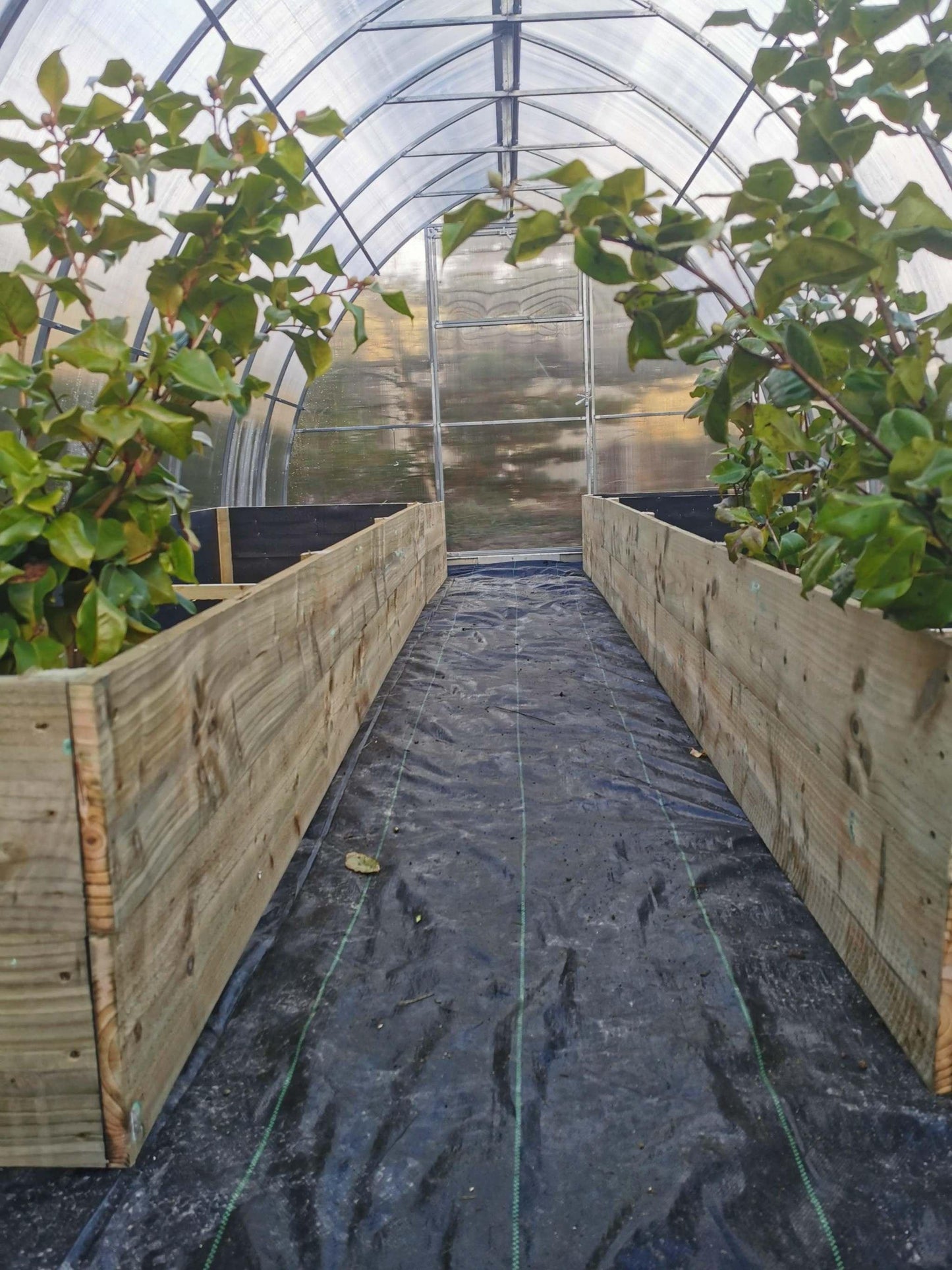 Raised Garden Bed 90cm x 44cm x 180cm - Keane Gardens