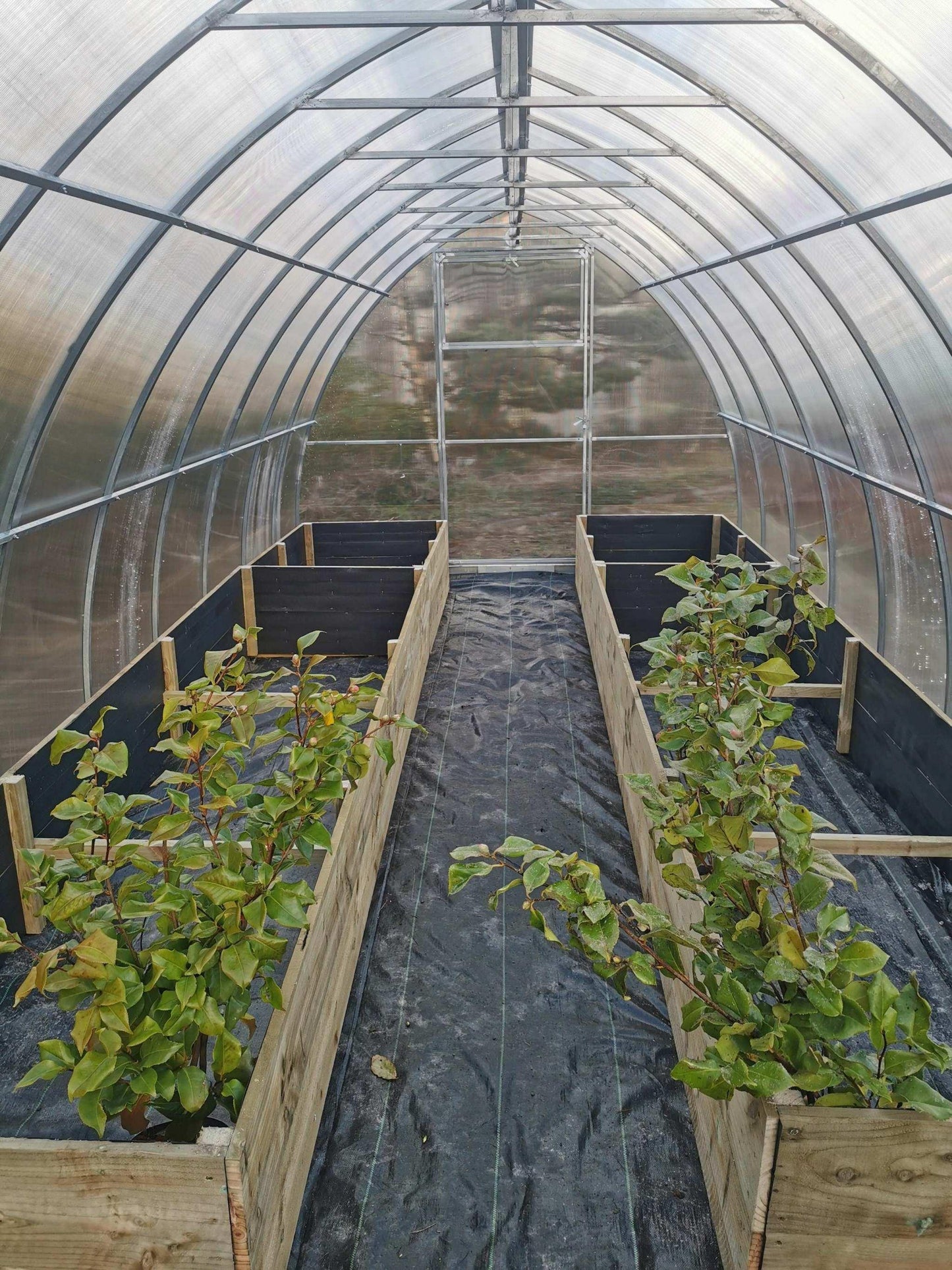 Raised Garden Bed 90cm x 44cm x 180cm - Keane Gardens