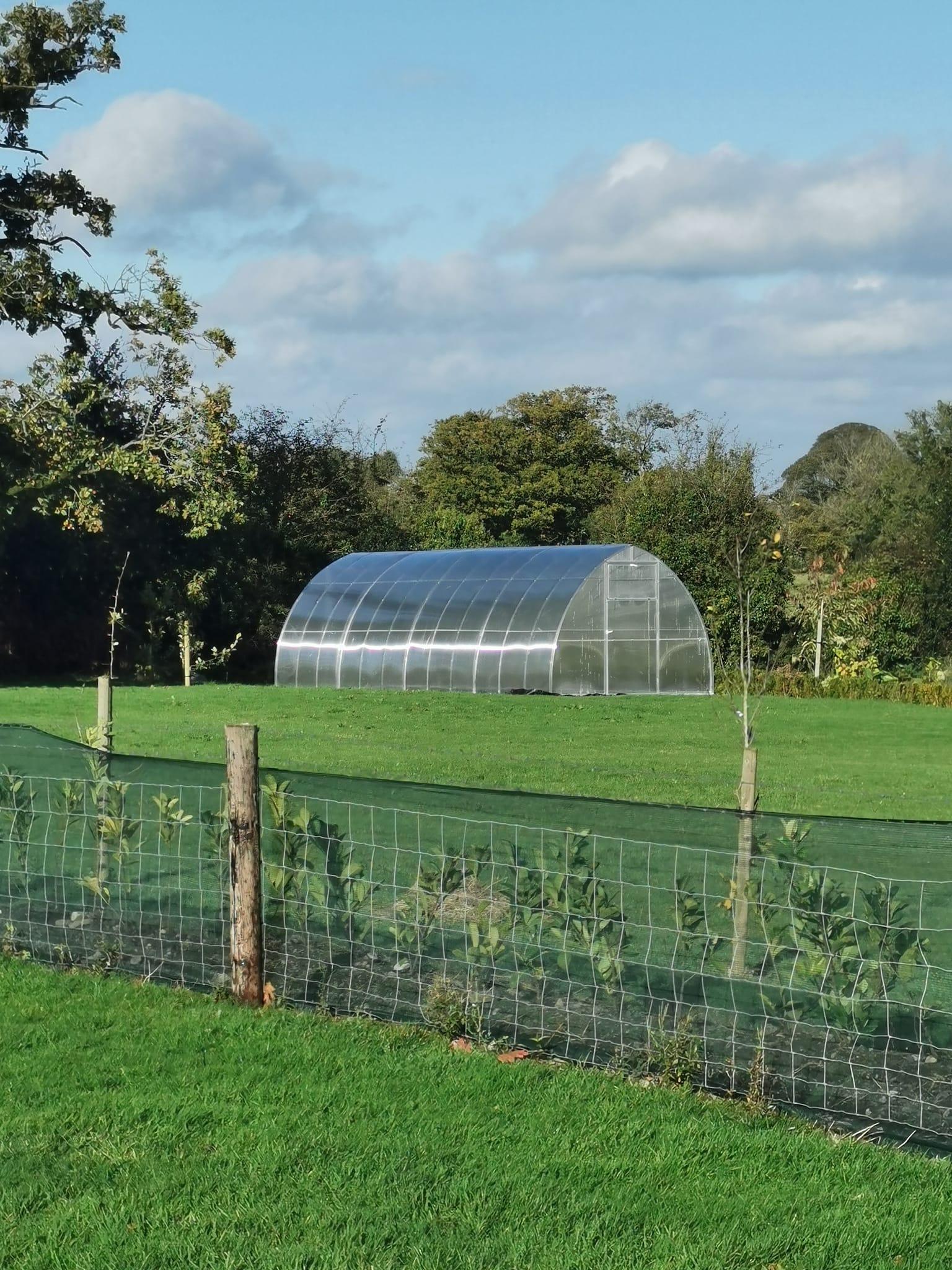 THE ARIANA - POLYCARBONATE GREENHOUSE 3M X 8M (9.8FT X 26FT) 24 M² - Keane Gardens