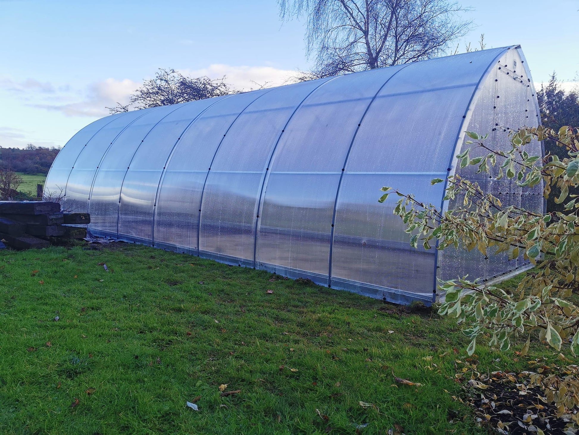 THE ARIANA - POLYCARBONATE GREENHOUSE 3M X 8M (9.8FT X 26FT) 24 M² - Keane Gardens