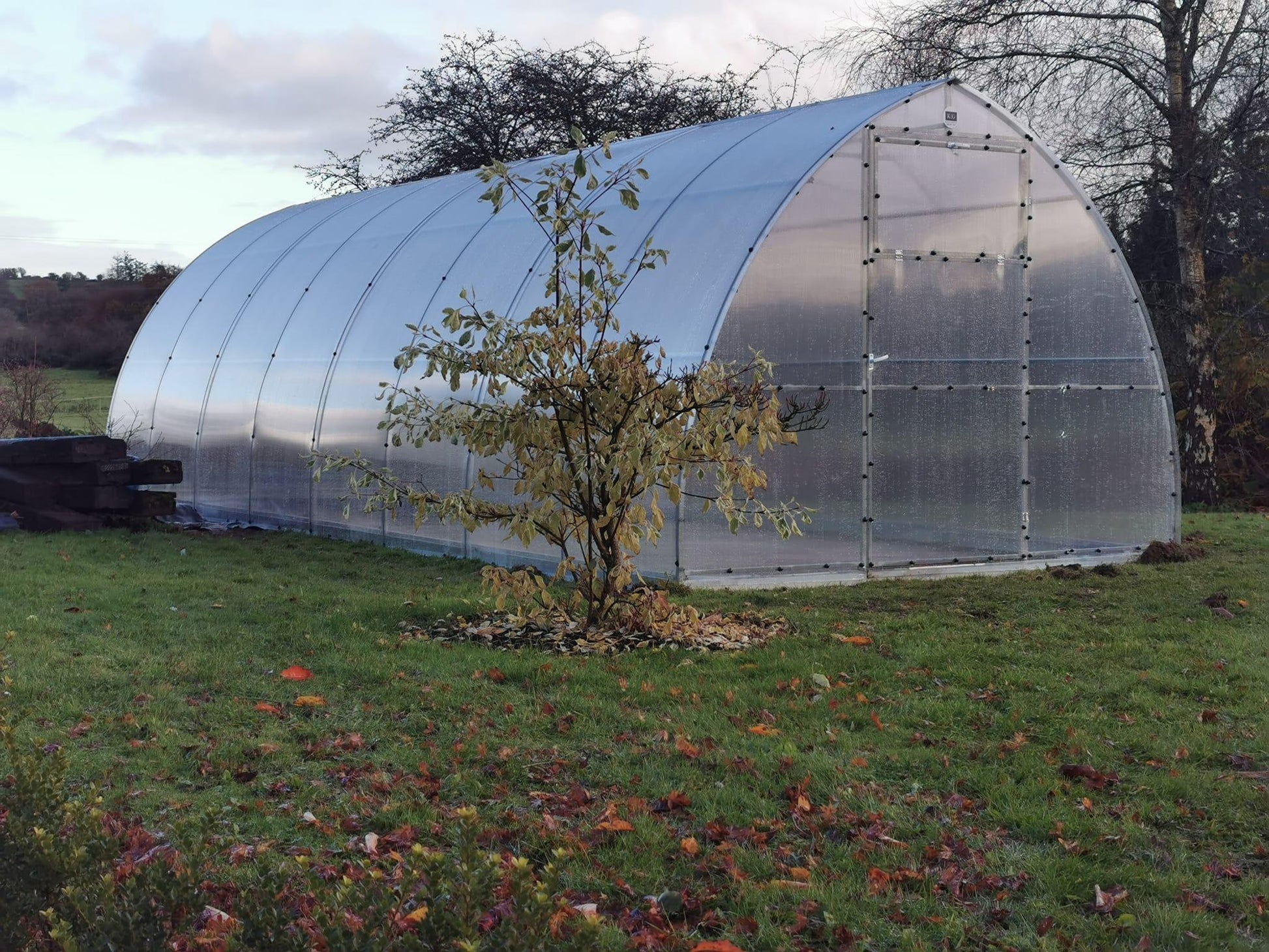 THE ARIANA - POLYCARBONATE GREENHOUSE 3M X 8M (9.8FT X 26FT) 24 M² - Keane Gardens