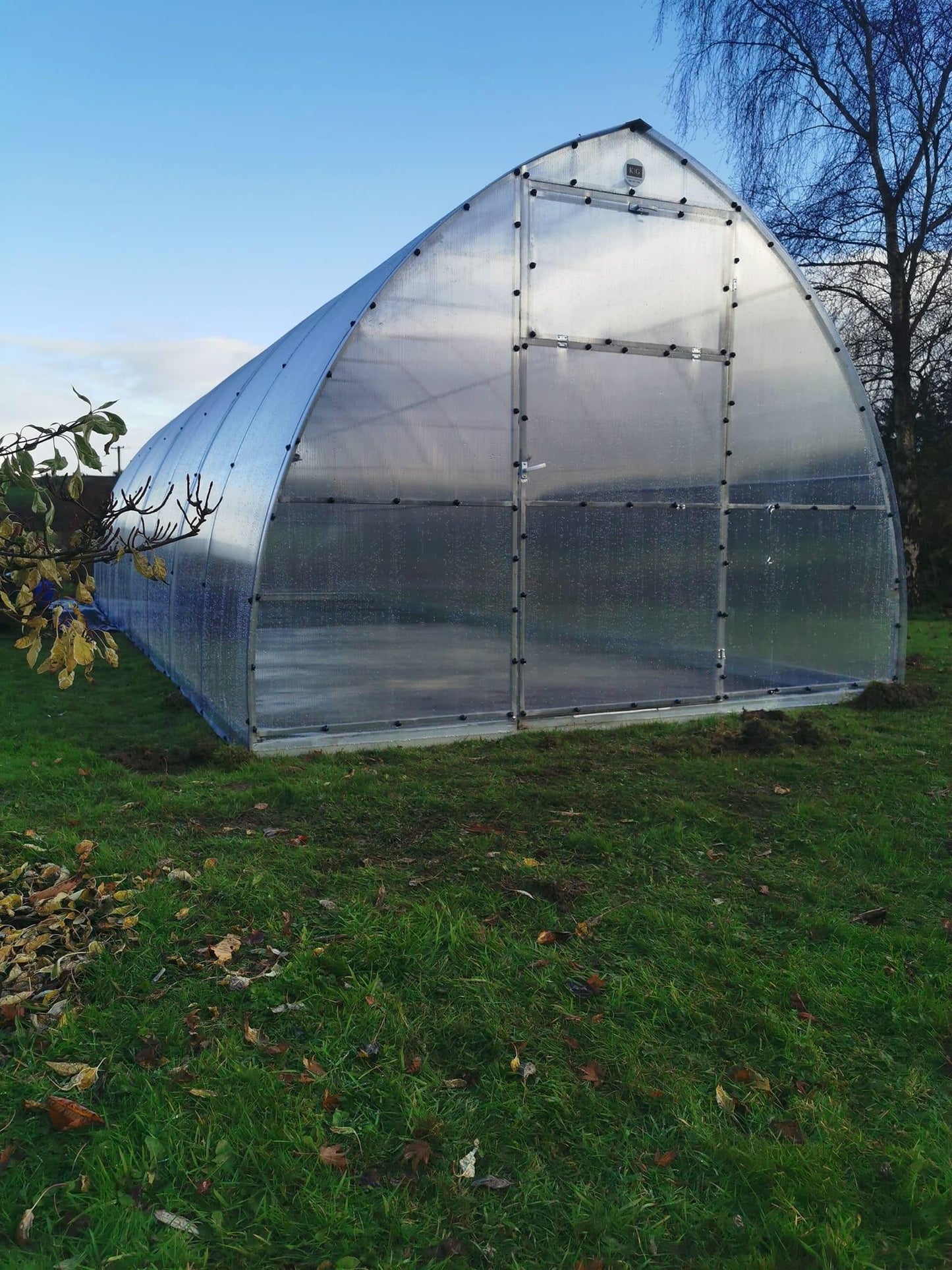 THE ARIANA - POLYCARBONATE GREENHOUSE 3M X 8M (9.8FT X 26FT) 24 M² - Keane Gardens